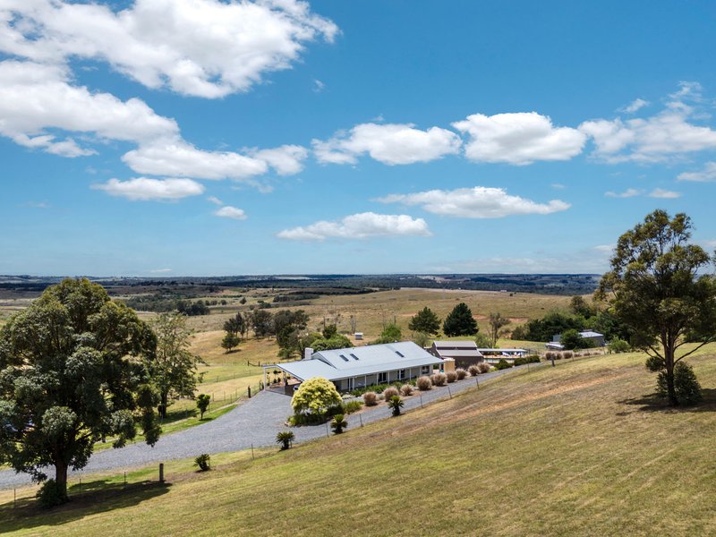 Photo - 585 Menangle Road, Douglas Park NSW 2569 - Image 24