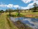 Photo - 585 Menangle Road, Douglas Park NSW 2569 - Image 28