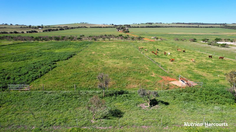 Photo - 5857 Brand Highway, Beermullah WA 6503 - Image 30