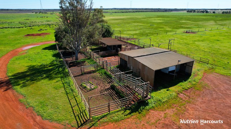 Photo - 5857 Brand Highway, Beermullah WA 6503 - Image 13