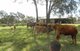 Photo - 586 Texas Road, Broadwater QLD 4380 - Image 16