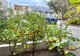 Photo - 58/69 Allen Street, Leichhardt NSW 2040 - Image 14