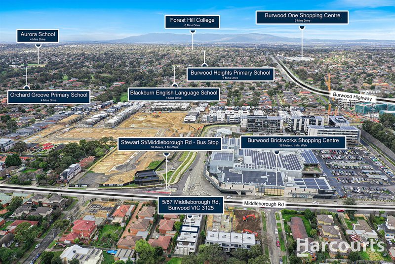 Photo - 5/87 Middleborough Road, Burwood VIC 3125 - Image 3