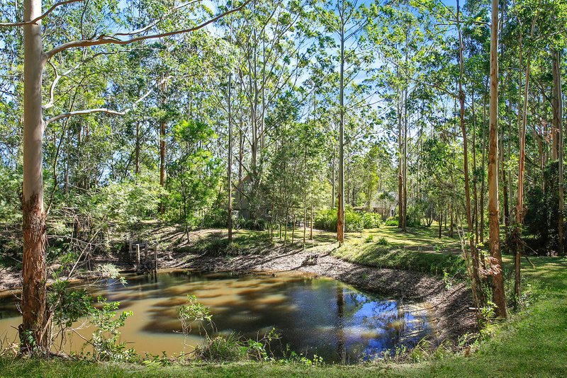 Photo - 587 Mount Scanzi Road, Kangaroo Valley NSW 2577 - Image 14