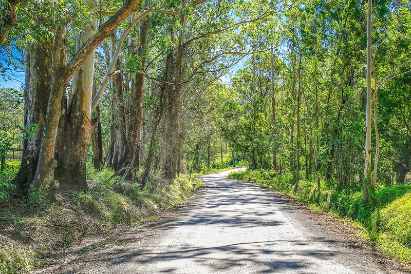 Photo - 587 Mount Scanzi Road, Kangaroo Valley NSW 2577 - Image 16