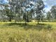 Photo - 587 Simpsons Road, Wondai QLD 4606 - Image 20