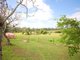 Photo - 588 Tinonee Road Mondrook , Tinonee NSW 2430 - Image 24