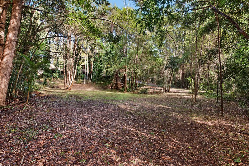 Photo - 59-61 Sawreys Road, Forest Glen QLD 4556 - Image 13