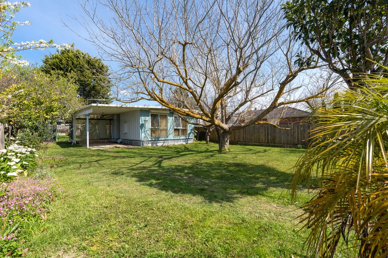 59 Alma Street, Tootgarook VIC 3941