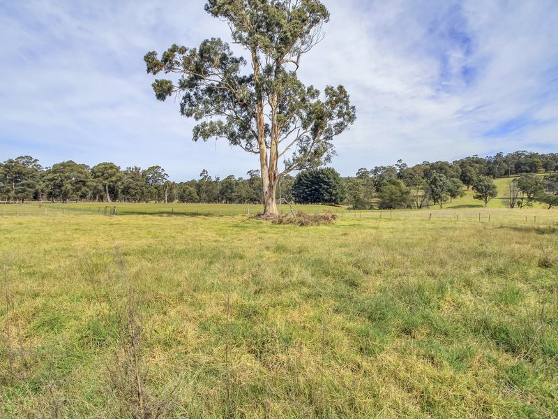 Photo - 59 Bethross Drive, Tambo Upper VIC 3885 - Image 19
