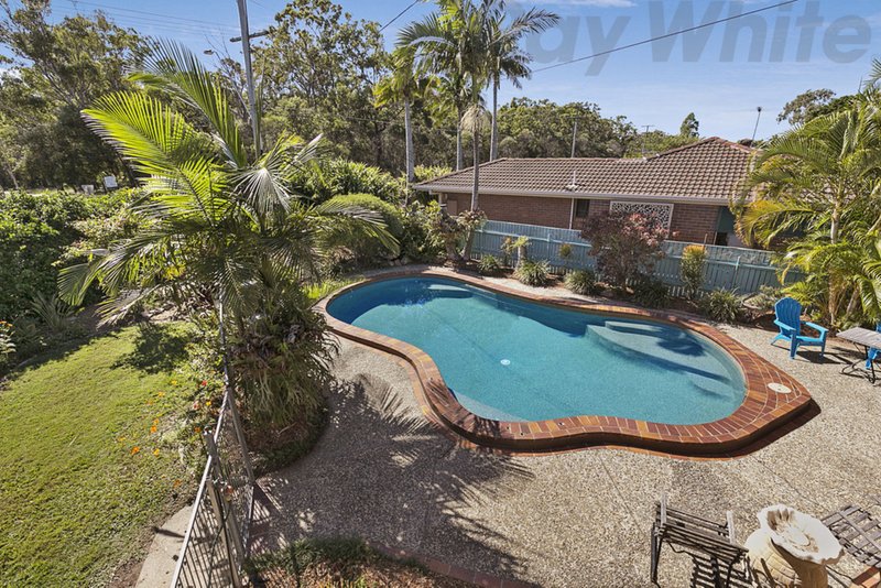 Photo - 59 Bluebell Street, Alexandra Hills QLD 4161 - Image 11