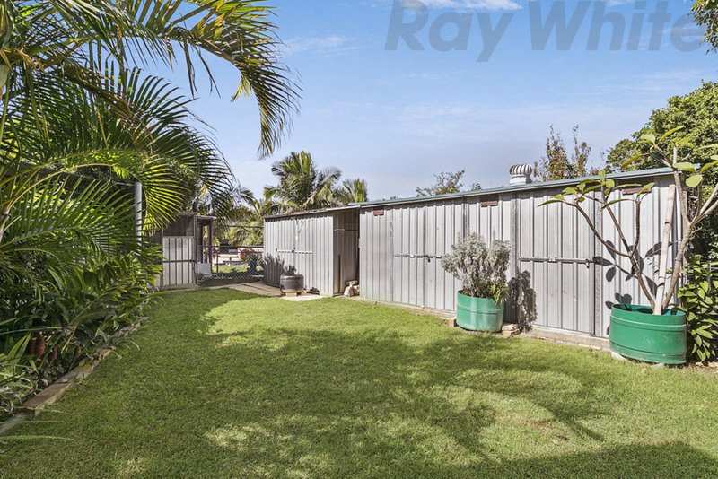 Photo - 59 Bluebell Street, Alexandra Hills QLD 4161 - Image 21