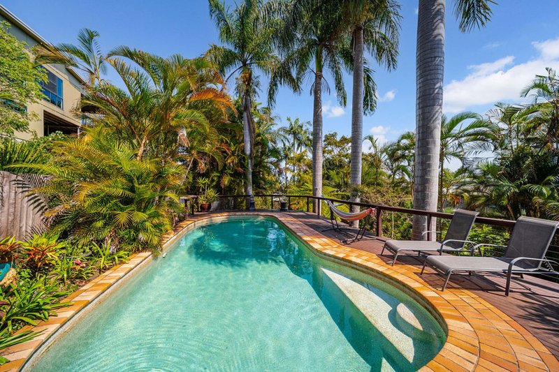 Photo - 59 Cogill Road, Buderim QLD 4556 - Image 3