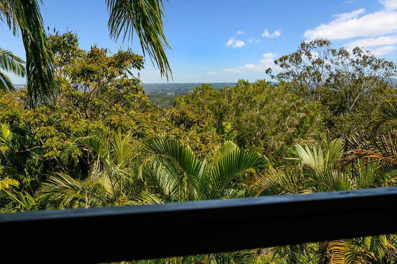 Photo - 59 Cogill Road, Buderim QLD 4556 - Image 4