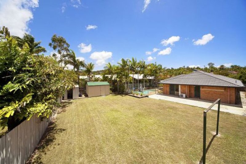 Photo - 59 Cranfield Drive, Buderim QLD 4556 - Image 6