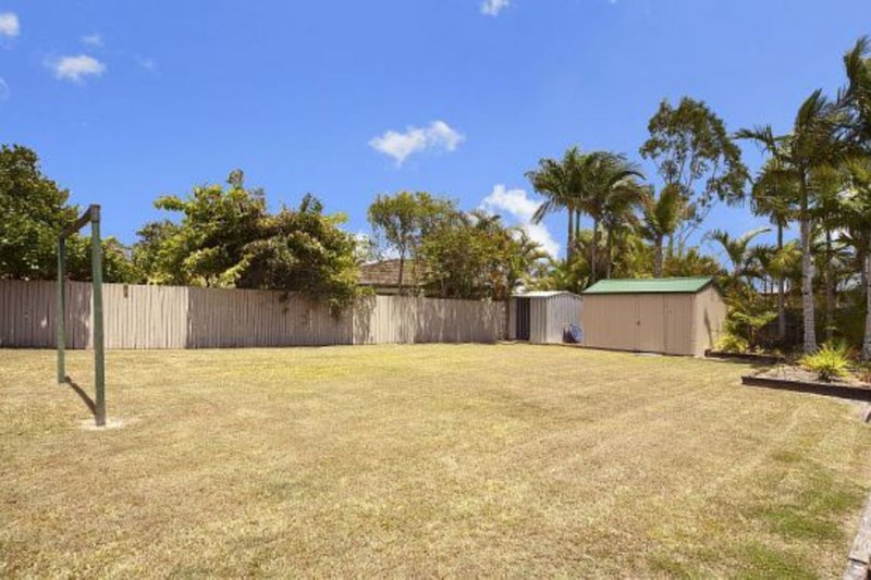 Photo - 59 Cranfield Drive, Buderim QLD 4556 - Image 9