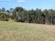 Photo - 59 Hilltop Parkway, Tallwoods Village NSW 2430 - Image 3