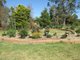 Photo - 59 Joseph Road, Leppington NSW 2179 - Image 20