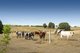 Photo - 59 Linnings Road, Haigslea QLD 4306 - Image 31