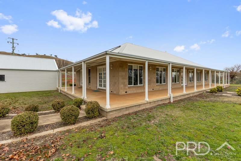 Photo - 59 Luke Street, South Gundagai NSW 2722 - Image 17