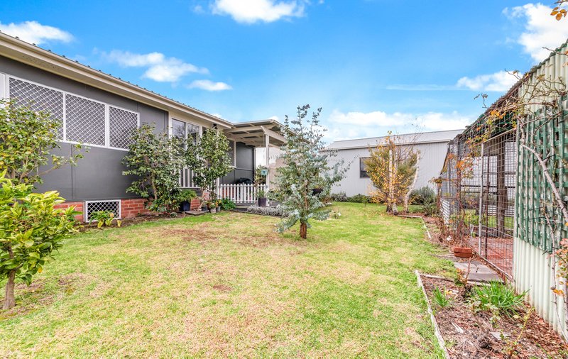 Photo - 59 Manners Street, Tenterfield NSW 2372 - Image 16