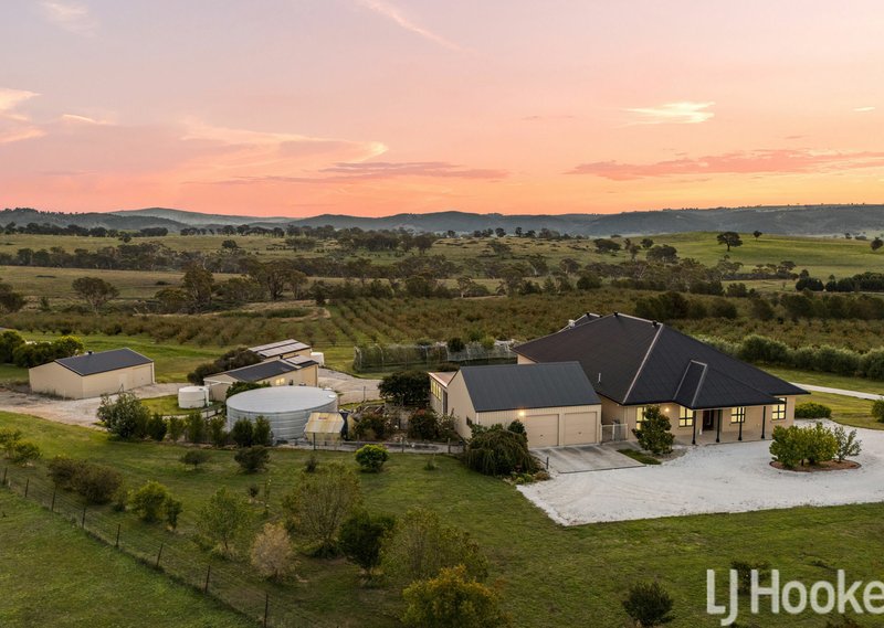 Photo - 59 Marion Close, Wimbledon NSW 2795 - Image 1