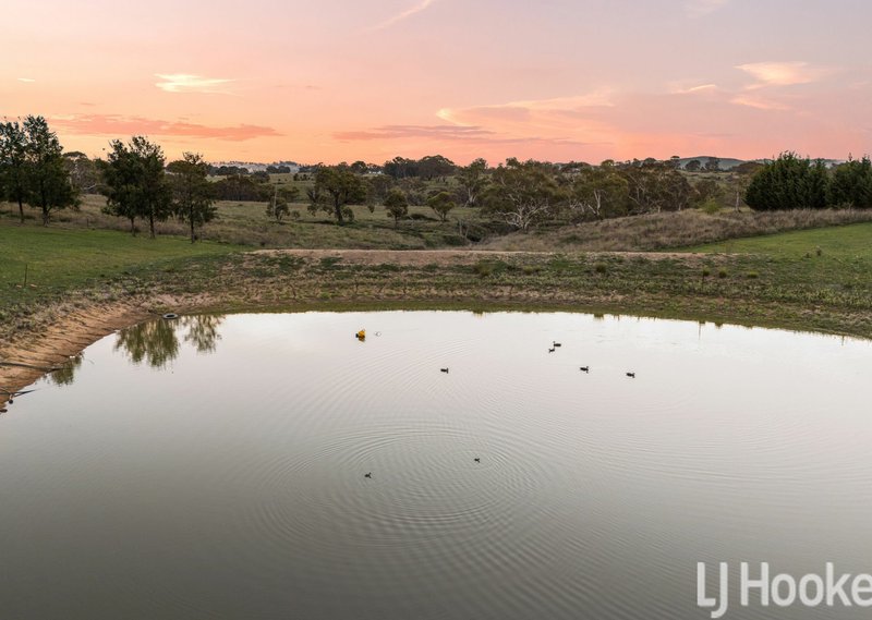 Photo - 59 Marion Close, Wimbledon NSW 2795 - Image 4