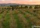 Photo - 59 Marion Close, Wimbledon NSW 2795 - Image 5