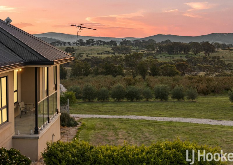 Photo - 59 Marion Close, Wimbledon NSW 2795 - Image 6