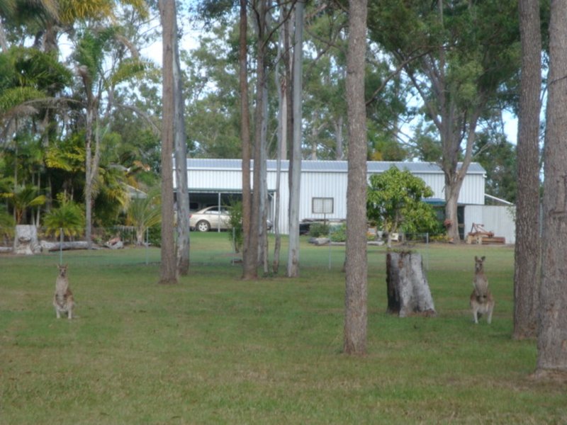 Photo - 59 Melinda Road, Torbanlea QLD 4662 - Image 21