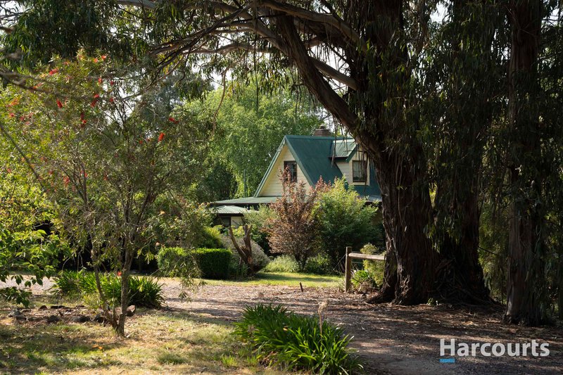 Photo - 59 Moore Street, Westbury TAS 7303 - Image 16