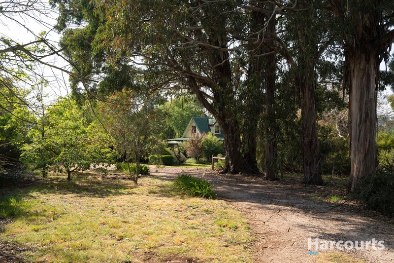 Photo - 59 Moore Street, Westbury TAS 7303 - Image 21