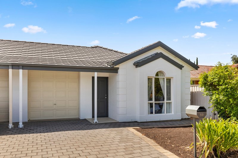 59 Norrie Avenue, Clovelly Park SA 5042