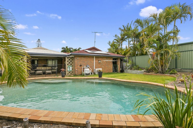 Photo - 59 Riesling Street, Thornlands QLD 4164 - Image 12