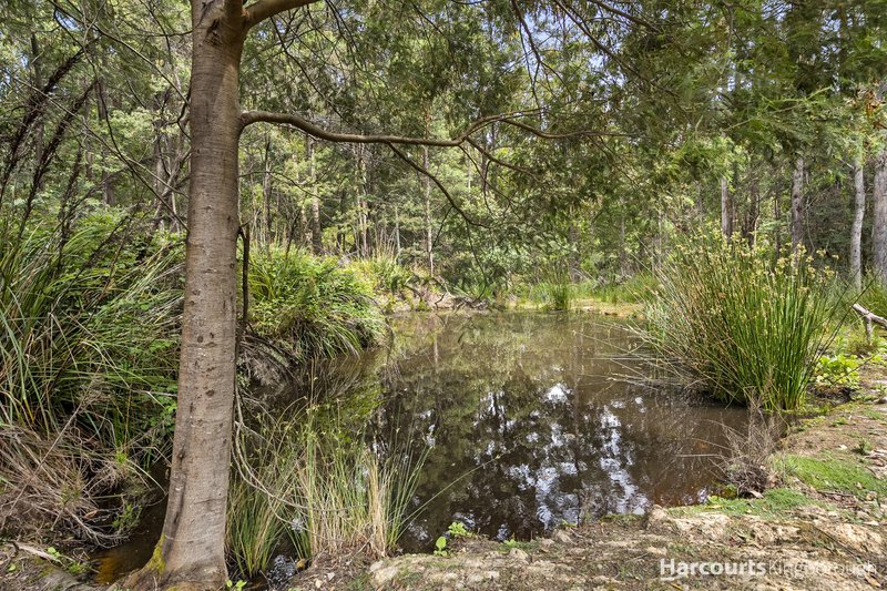 Photo - 59 Slab Road, Middleton TAS 7163 - Image 9