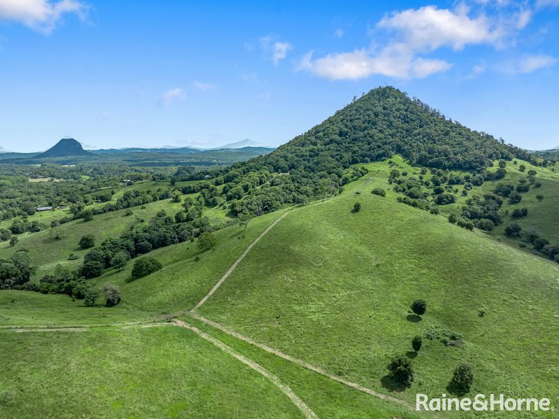 Photo - 59 Upper Pinbarren Creek Road, Pinbarren QLD 4568 - Image 3