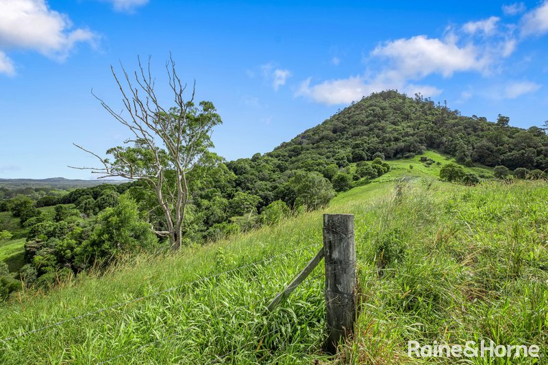 Photo - 59 Upper Pinbarren Creek Road, Pinbarren QLD 4568 - Image 28