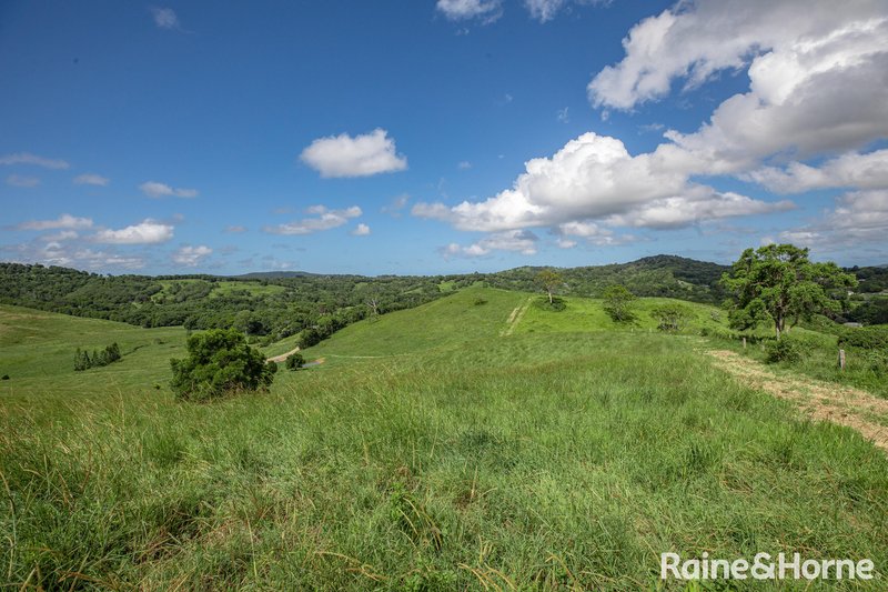 Photo - 59 Upper Pinbarren Creek Road, Pinbarren QLD 4568 - Image 29