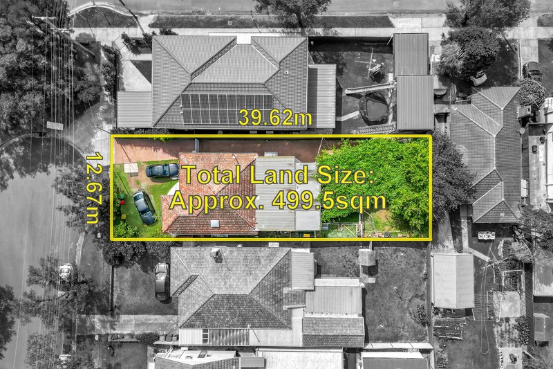 Photo - 59 Virgil Avenue, Chester Hill NSW 2162 - Image 2