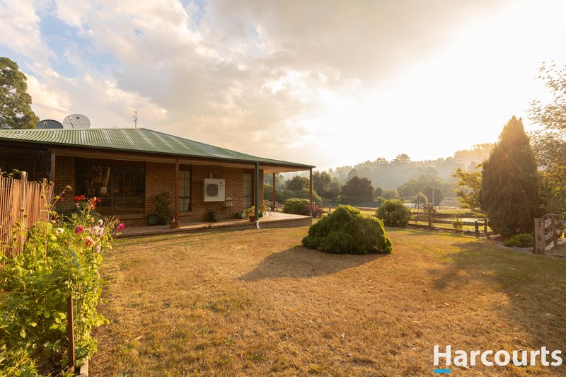 Photo - 59 Winifred Avenue, Acacia Hills TAS 7306 - Image 3