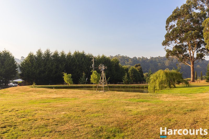 Photo - 59 Winifred Avenue, Acacia Hills TAS 7306 - Image 30