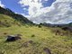 Photo - 590 Illinbah Road, Illinbah QLD 4275 - Image 4