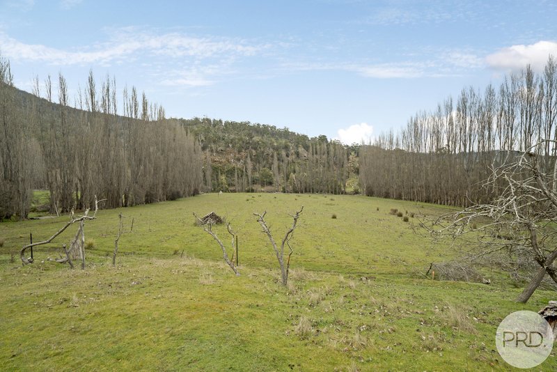 Photo - 590 Molesworth Road, Molesworth TAS 7140 - Image 14