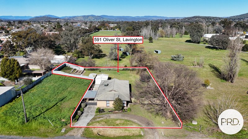 Photo - 591 Oliver Street, Lavington NSW 2641 - Image 1