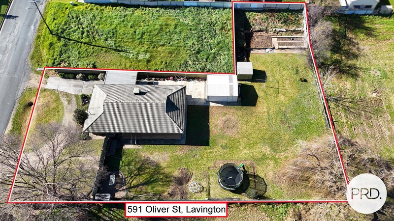 Photo - 591 Oliver Street, Lavington NSW 2641 - Image 3