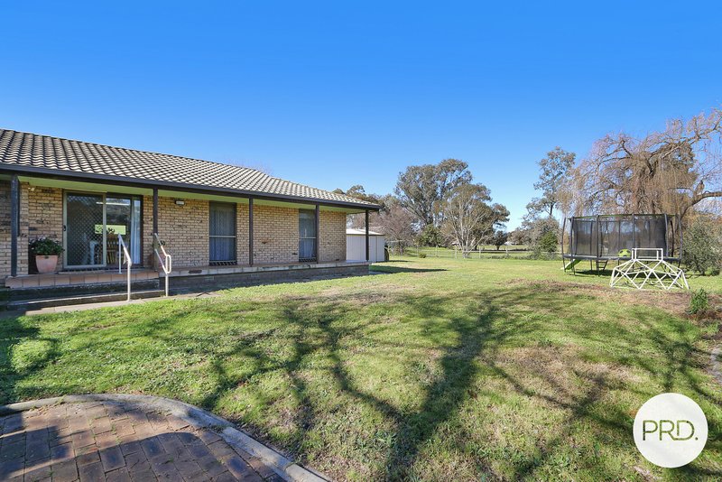 Photo - 591 Oliver Street, Lavington NSW 2641 - Image 16