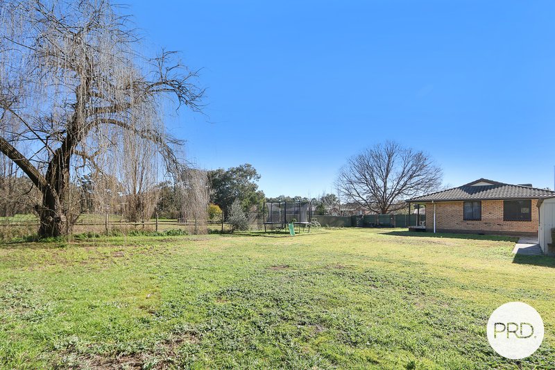 Photo - 591 Oliver Street, Lavington NSW 2641 - Image 18