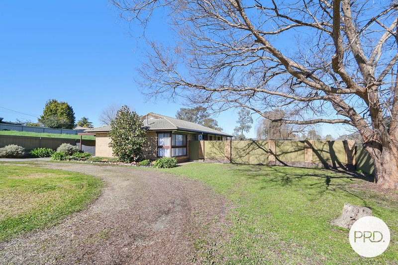 Photo - 591 Oliver Street, Lavington NSW 2641 - Image 24