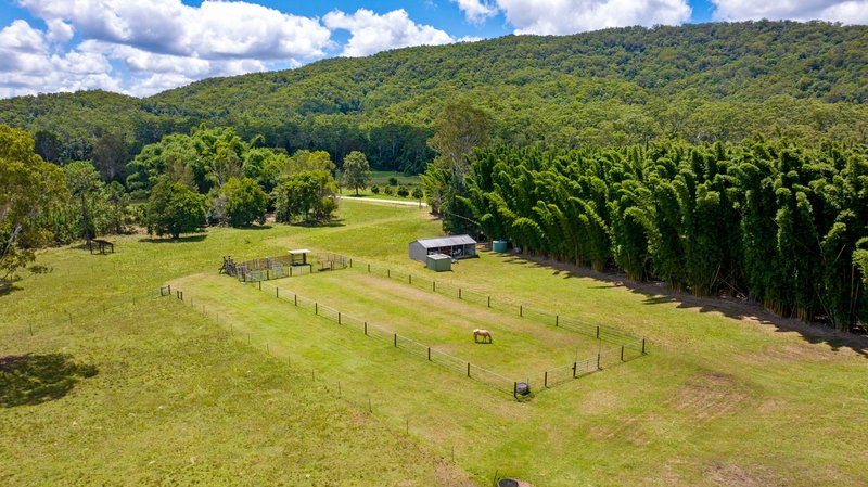 Photo - 592 Cedar Creek Road, Gheerulla QLD 4574 - Image 3
