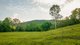 Photo - 592 Cedar Creek Road, Gheerulla QLD 4574 - Image 5